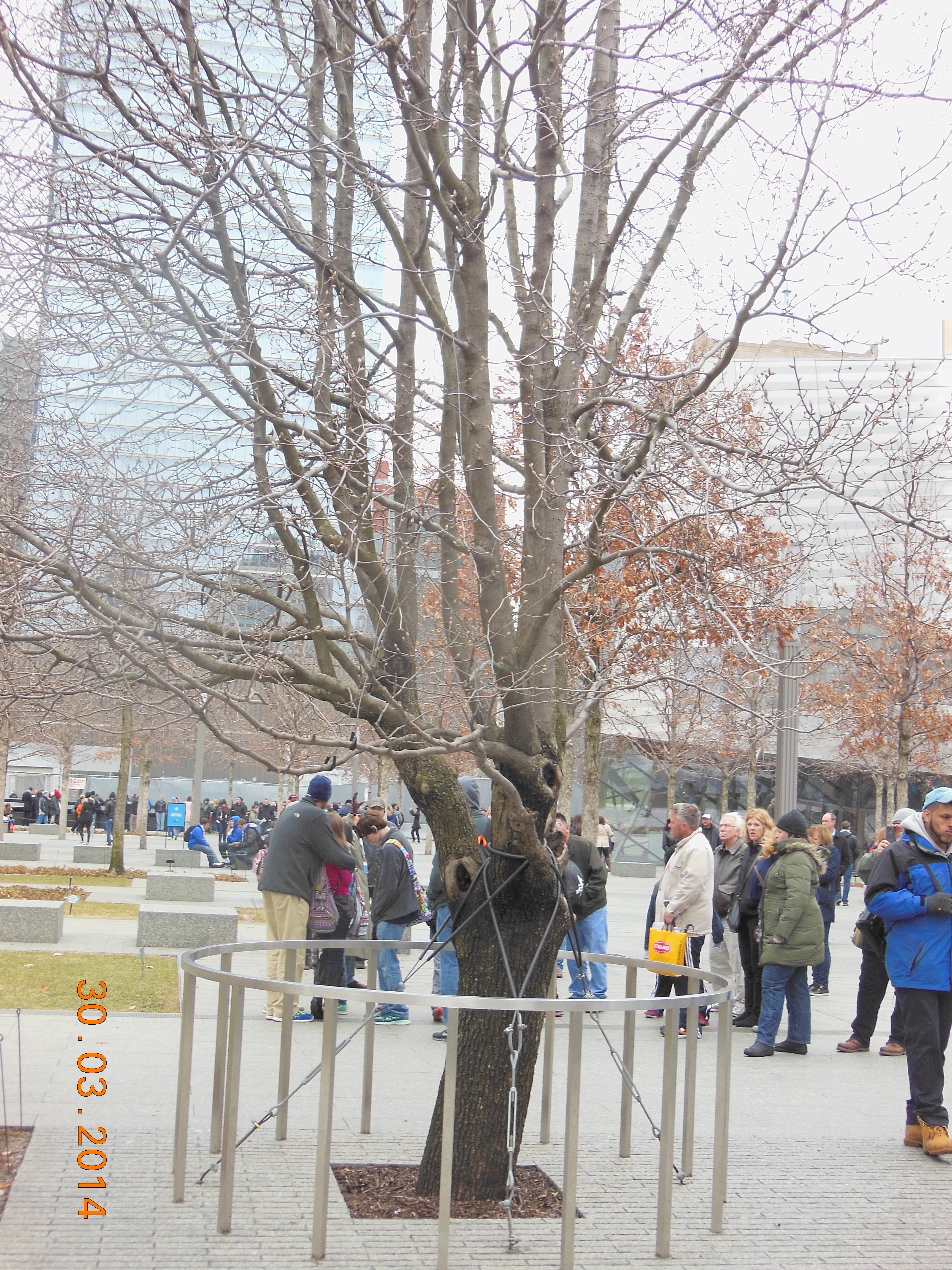 New york mars 2014 051