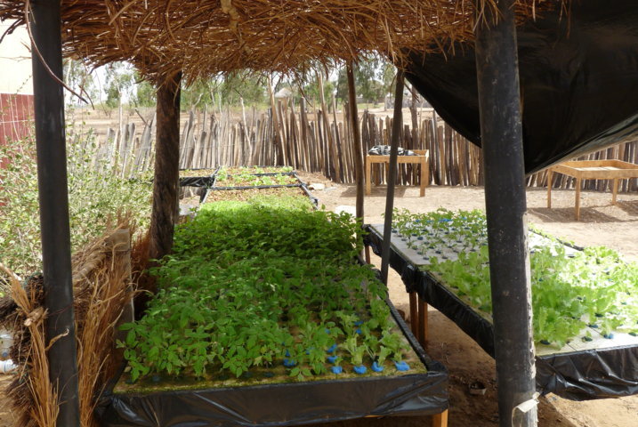 P1290843 fileminimizer 