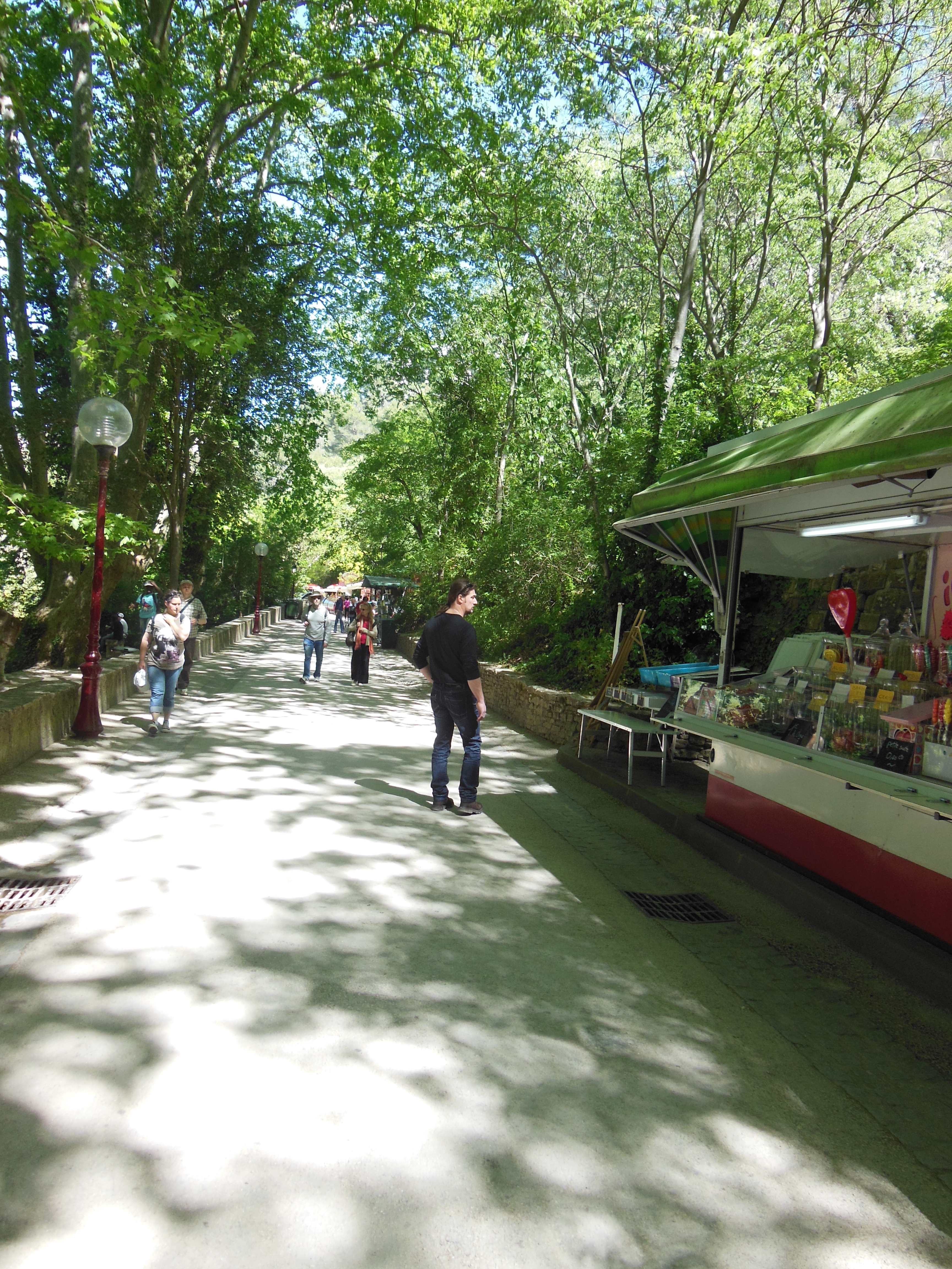 Avignon 5 mai 2014 013