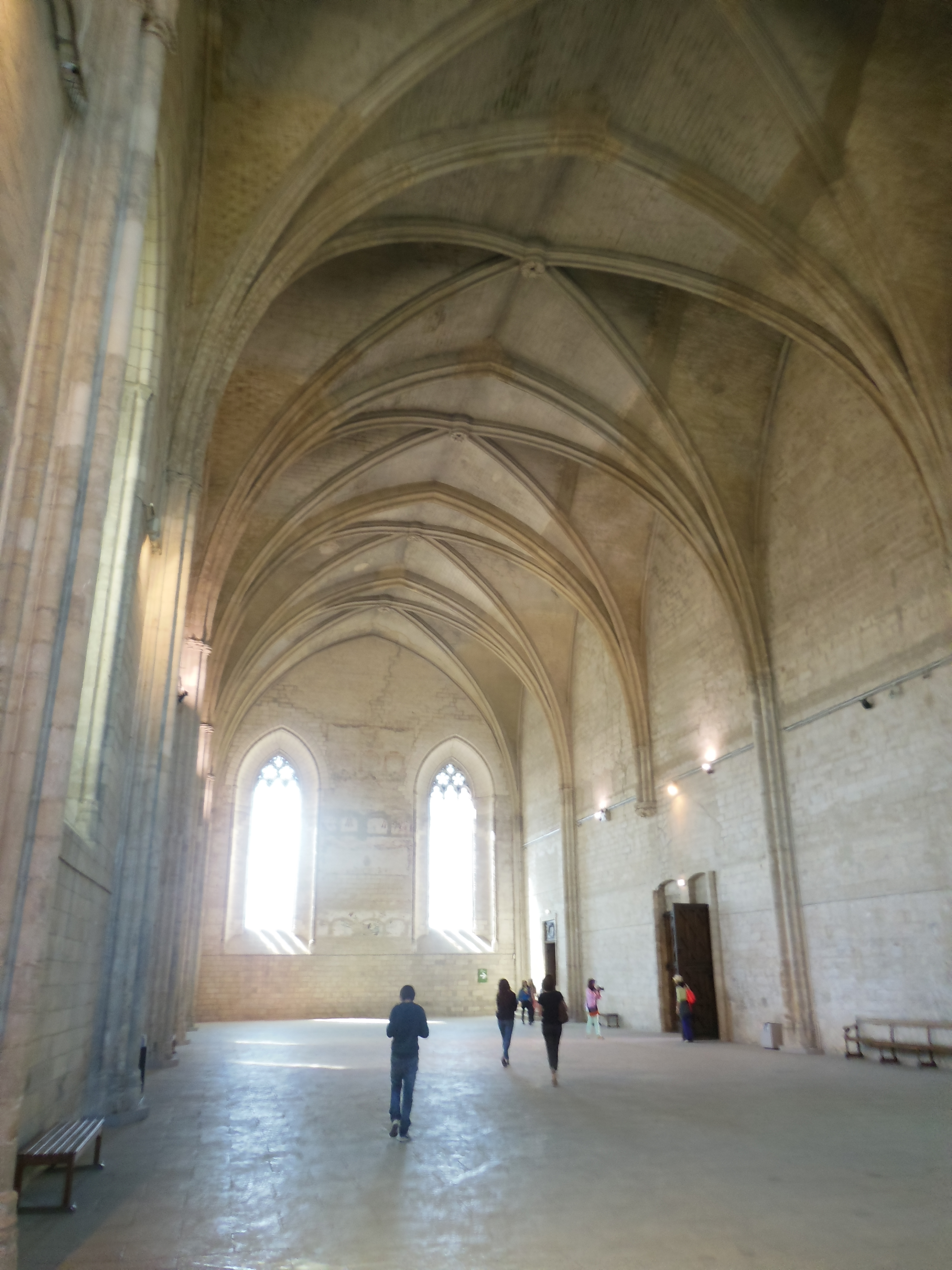 Avignon 5 mai 2014 030