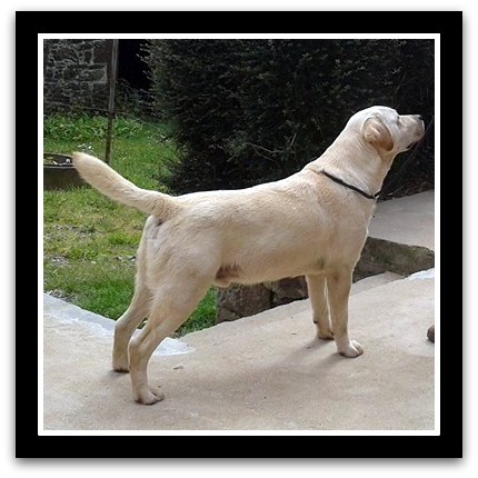 10245575 652293988159291 844162823207514179 n 002