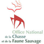 Logo oncfs