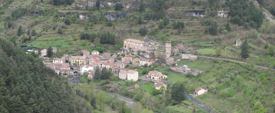 Cropped Copie de IMG 2334