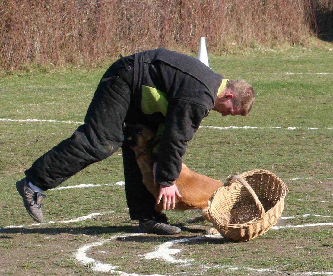 Img 3558