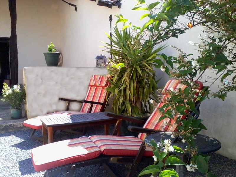 patio detente
