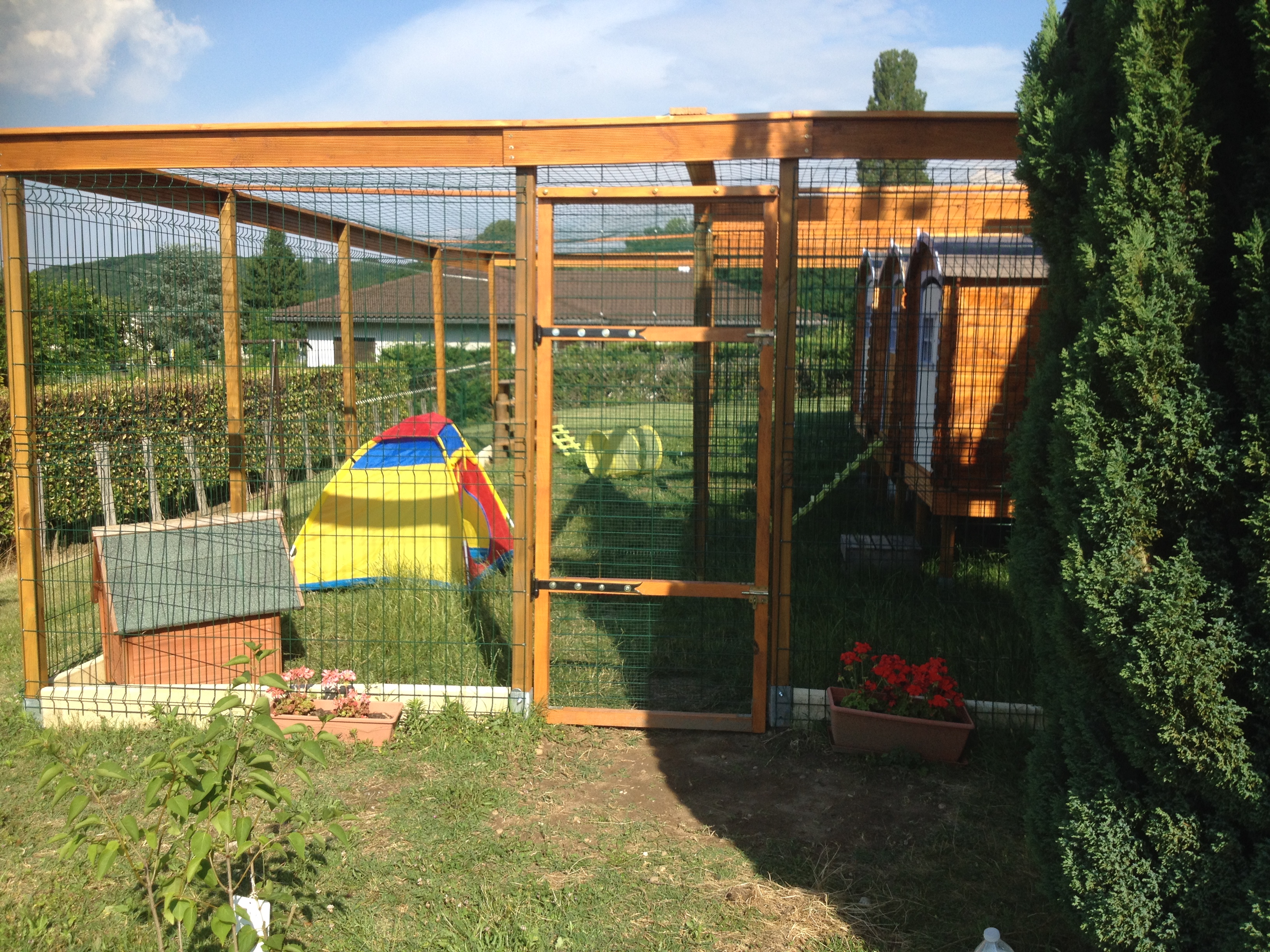 Photo 6 