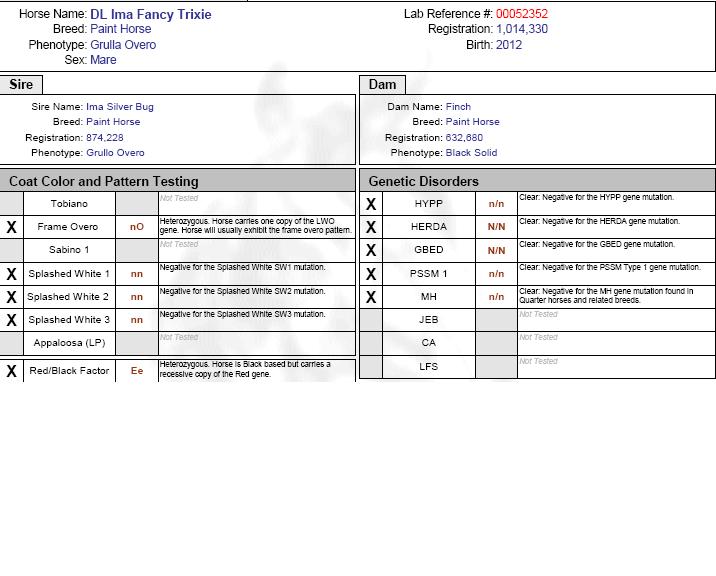5 panel dl ima fancy trixie