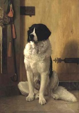 Landseer
