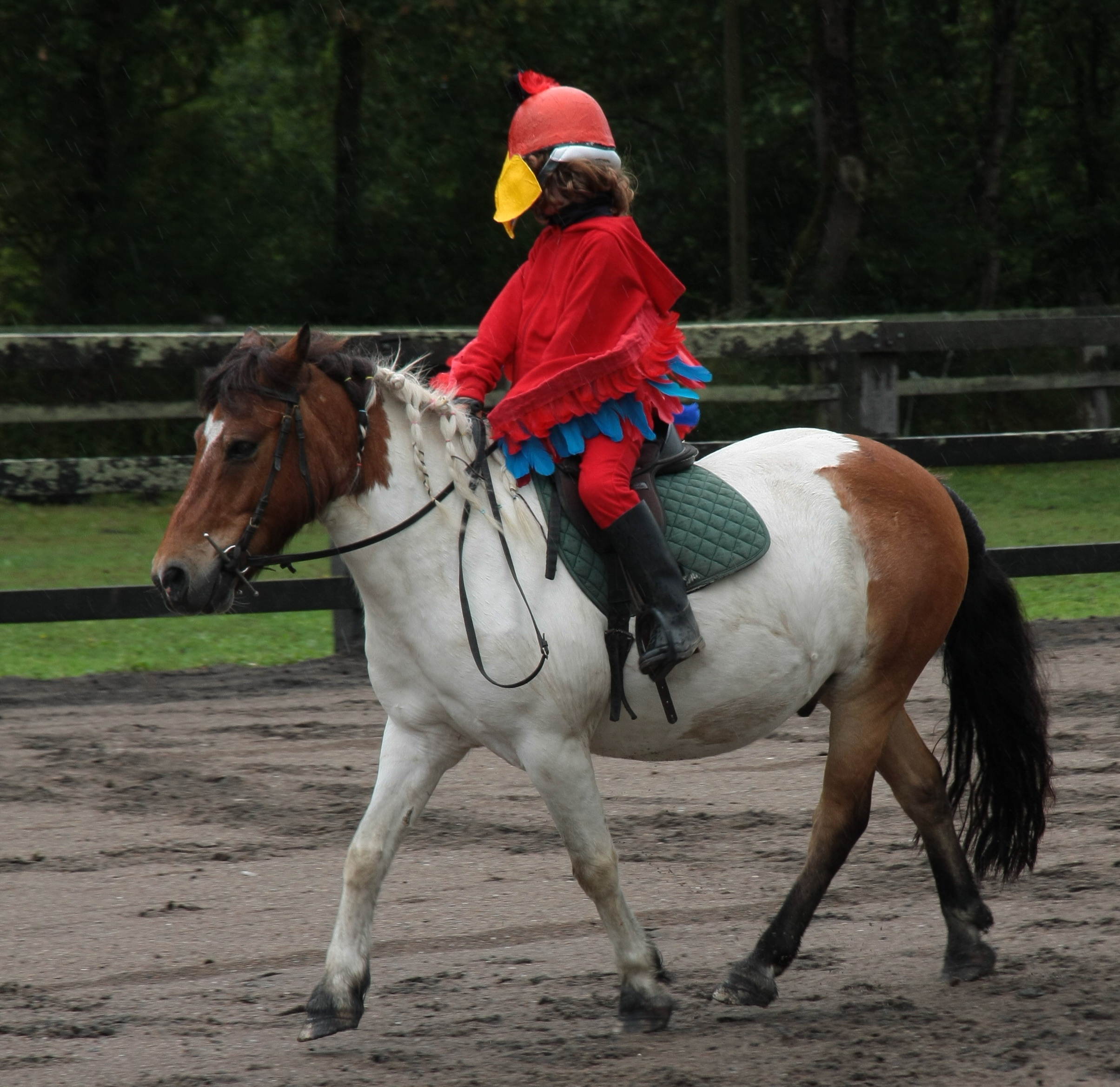 Fête de club à l'Happy Loosa Ranch