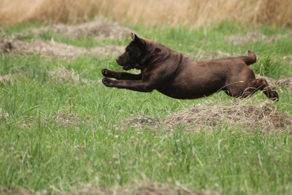 1902748 1439515369658147 4796222029979973274 n 1 copie