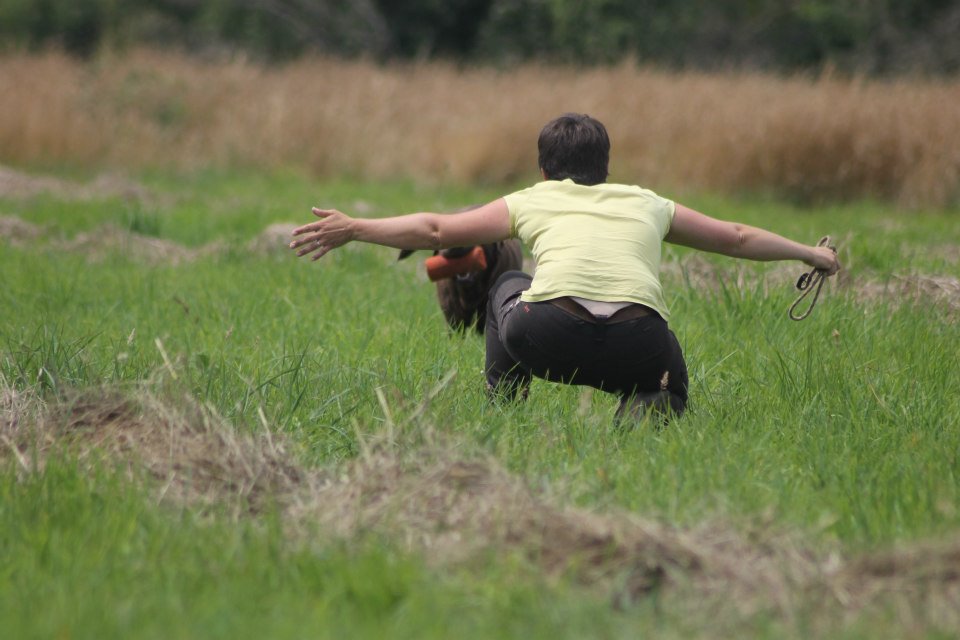 10307192 1439514799658204 7144812021759797556 n copie