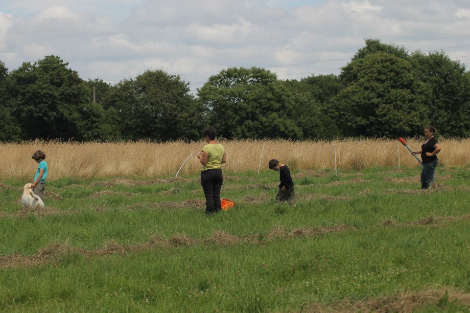 10365774 1439515902991427 8217858972026893807 n