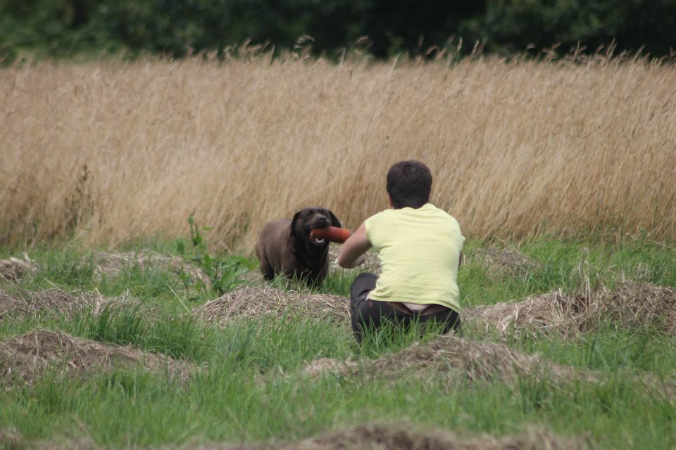 10384537 1439515769658107 6124605766770609476 n copie