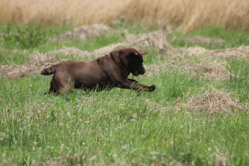 10429856 1439515499658134 4594648843388100971 n