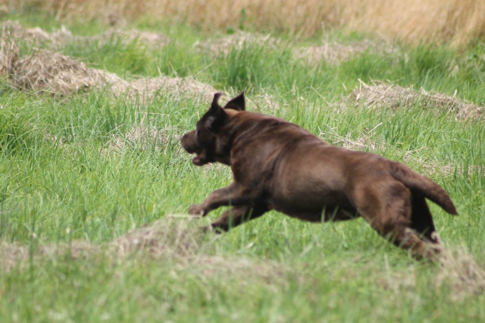 10445457 1439514846324866 1003659658140398186 n