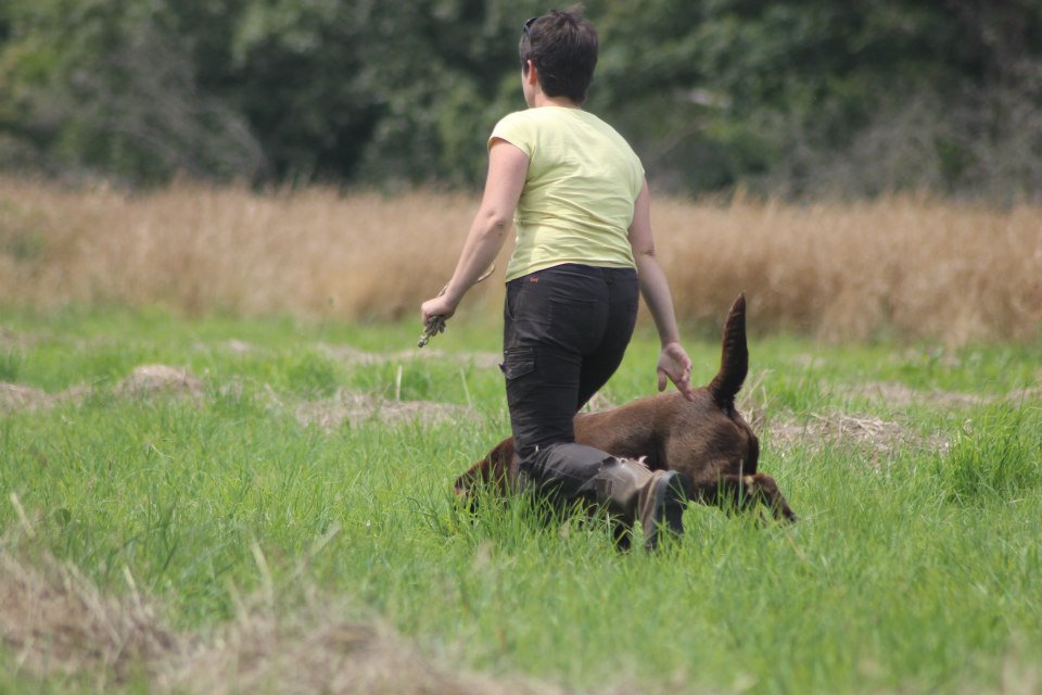 10477958 1439514729658211 8627650985197176755 n 1 