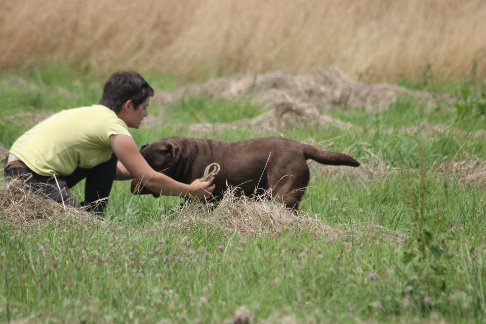 10488083 1439515572991460 837775967716692242 n