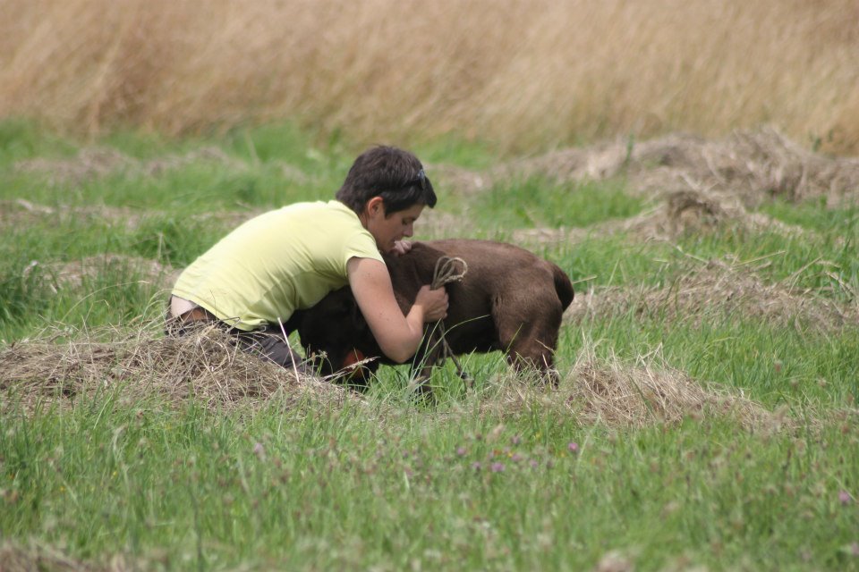 10492462 1439515606324790 4962452275751428977 n