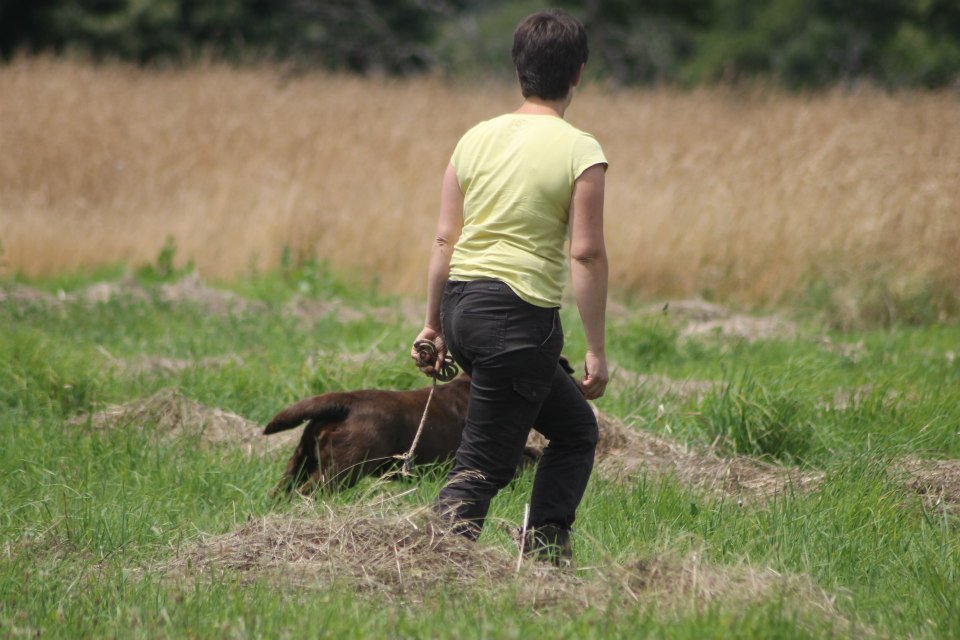 10511095 1439515129658171 9083638884659750363 n