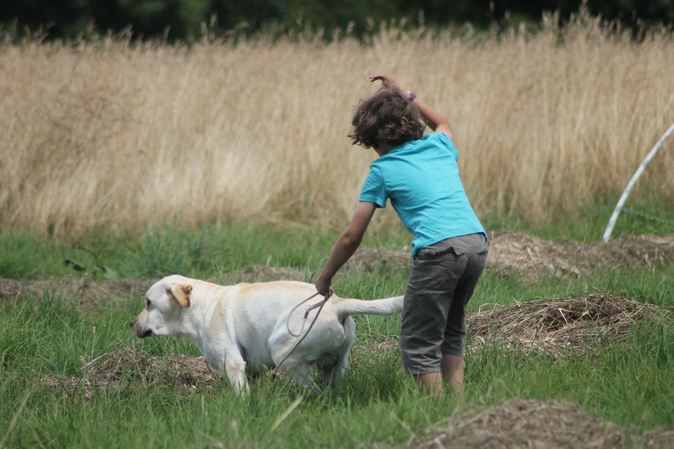 10516707 1439516216324729 1406745424137473204 n