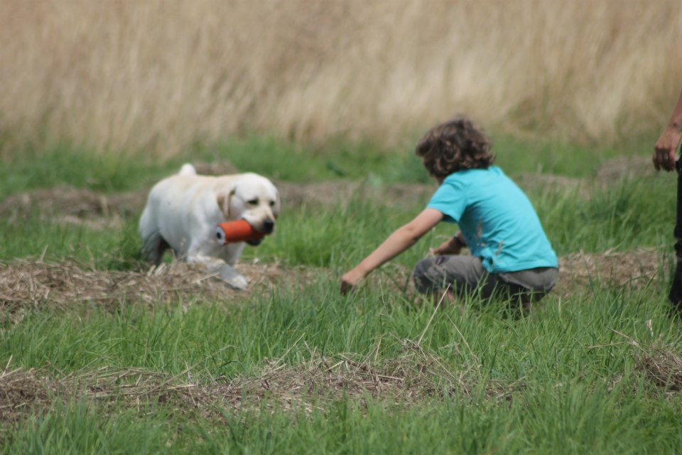 10517987 1439516946324656 3100821280751508527 n