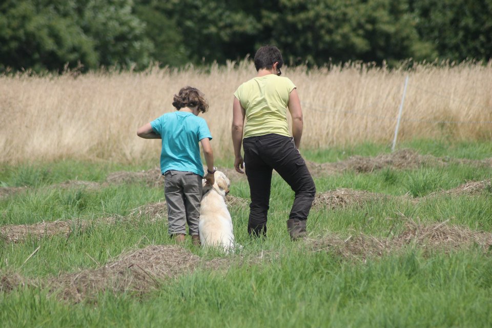 10518690 1439516019658082 1509387339991837121 n