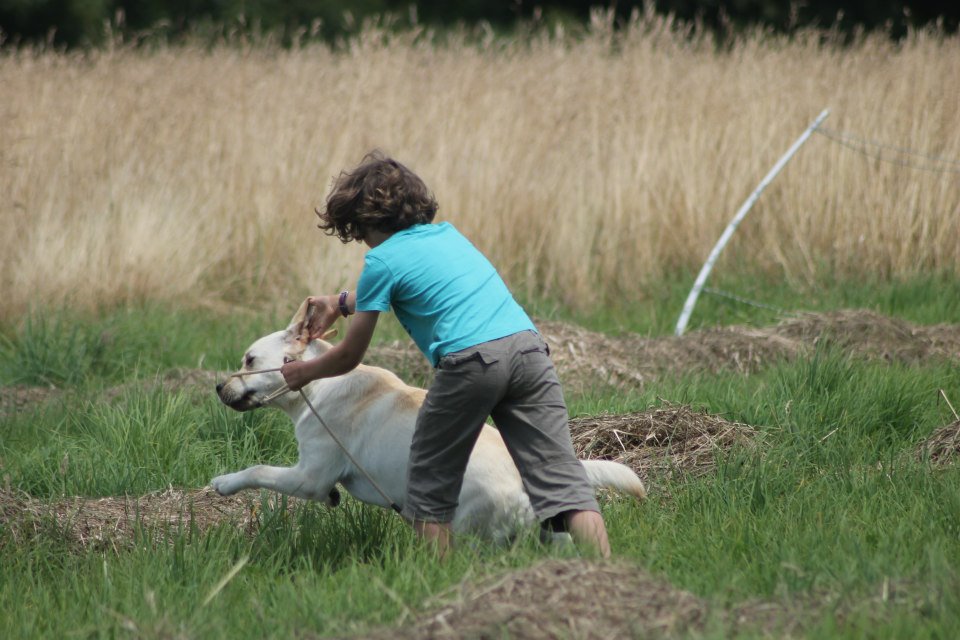 10524684 1439516199658064 3343220149449257753 n