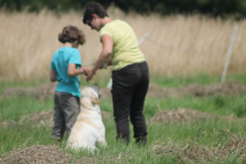 10537892 1439515919658092 6220158677764844448 n