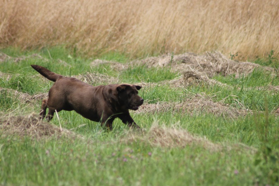 10565166 1439515436324807 4520507751472420869 n