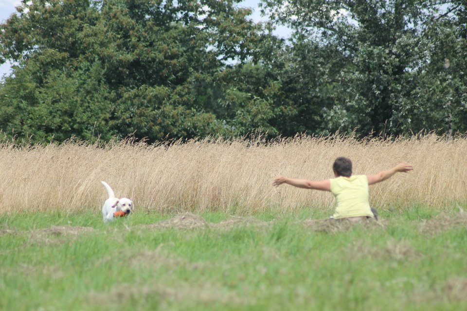 10402767 1439517229657961 7329816427287484769 n