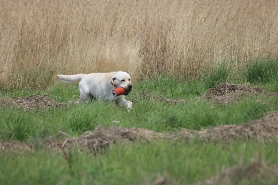 10500262 1439516916324659 3800373713522890232 n