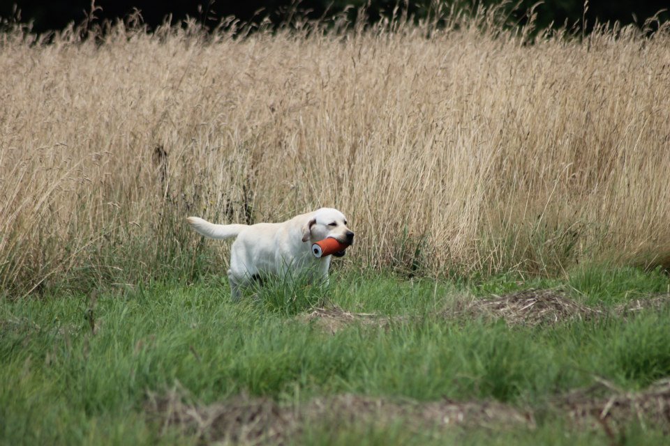 10527381 1439516882991329 1208374132472755284 n