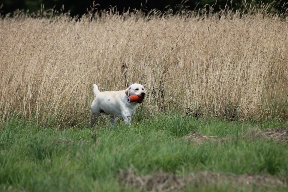 10533761 1439516826324668 2593671847305961776 n