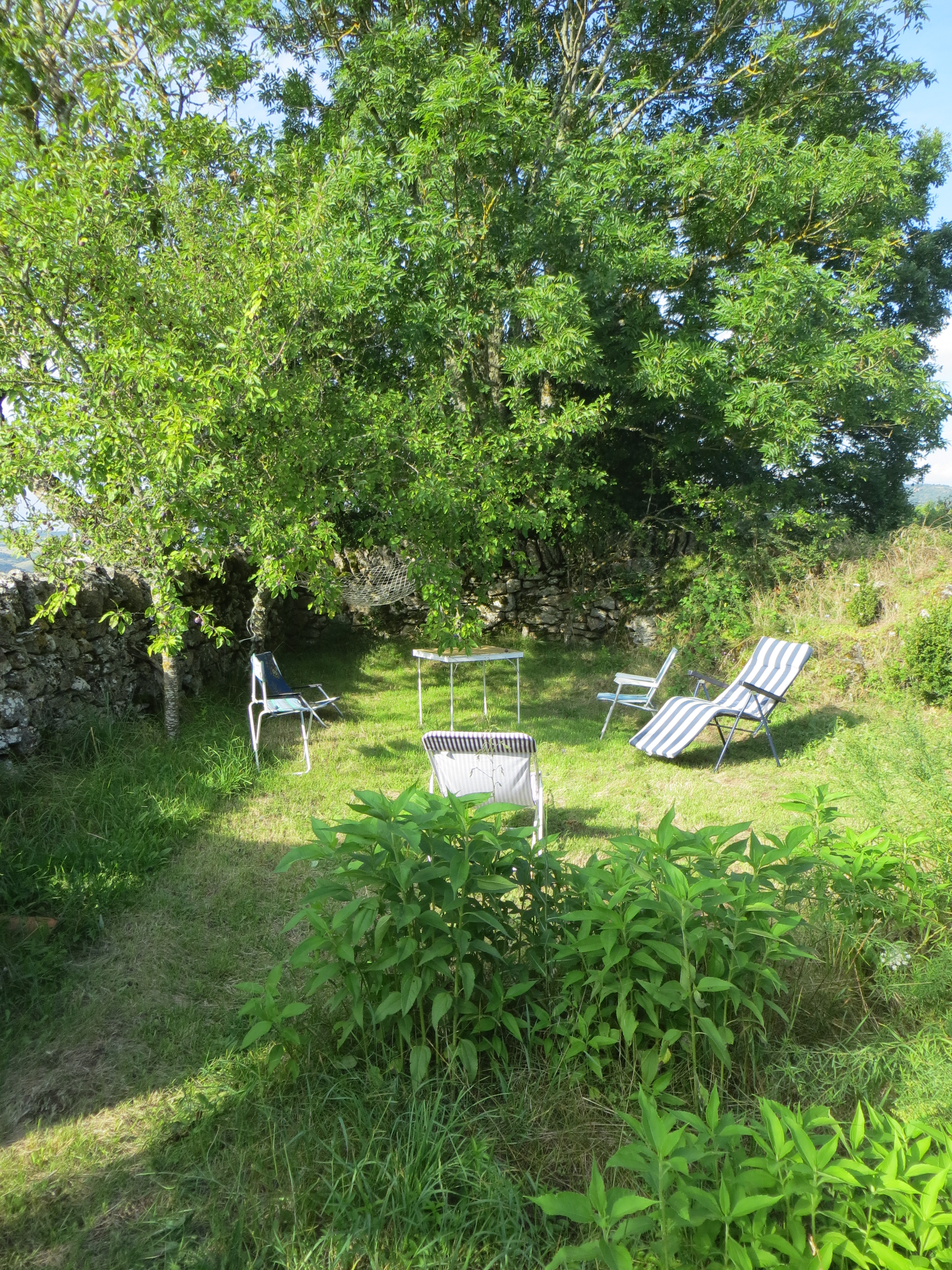 Img 0825
