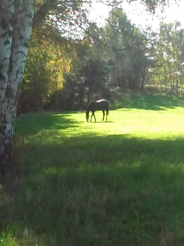 Parc