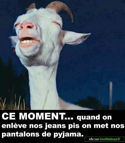 Sourire 49