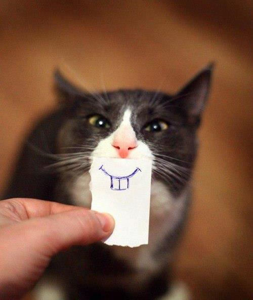 Sourire 94