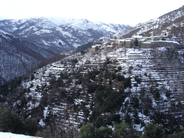 Village2