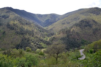 Paysage