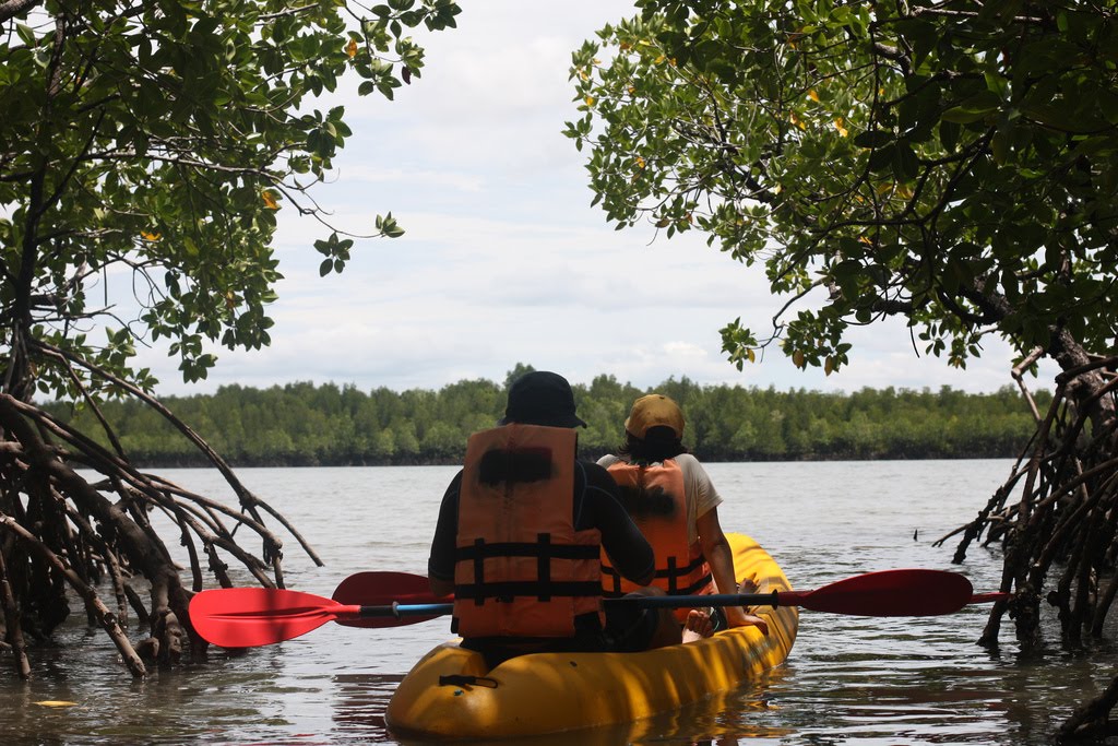 Kayak
