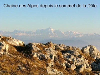 42225f98 5da1 4079 996e cca84b161f5d 1 6