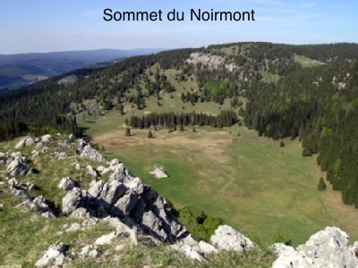 096585cf 6100 4f2a 9395 64b41937fe13 1 6