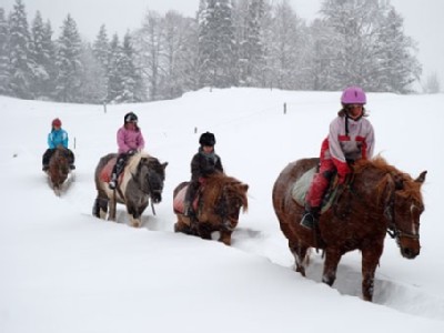 E877679a 50d4 4b1c 8472 ee05aced20e6 1 6