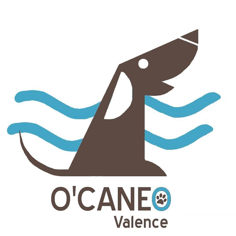 Ocaneo logo