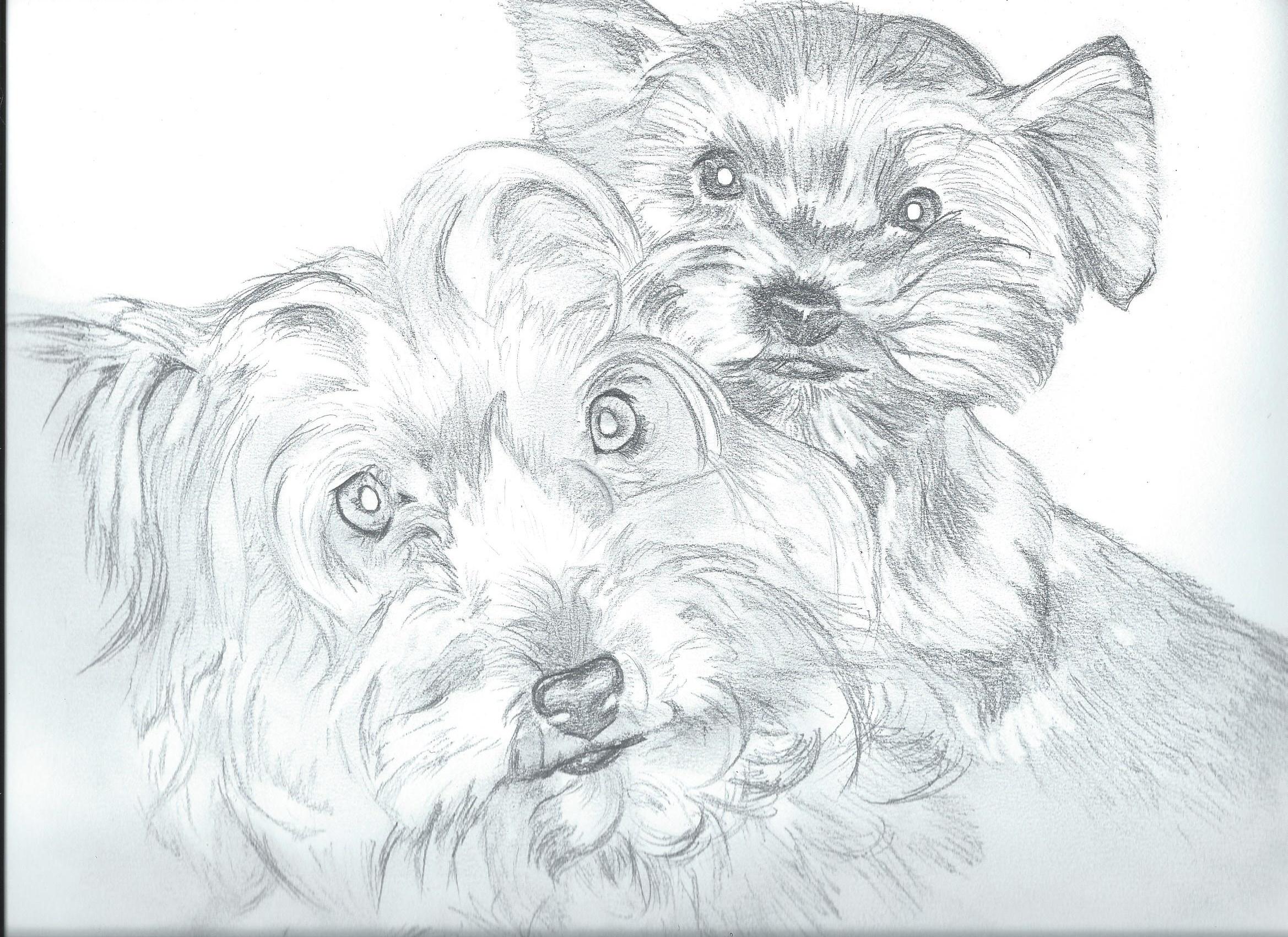 Chiens