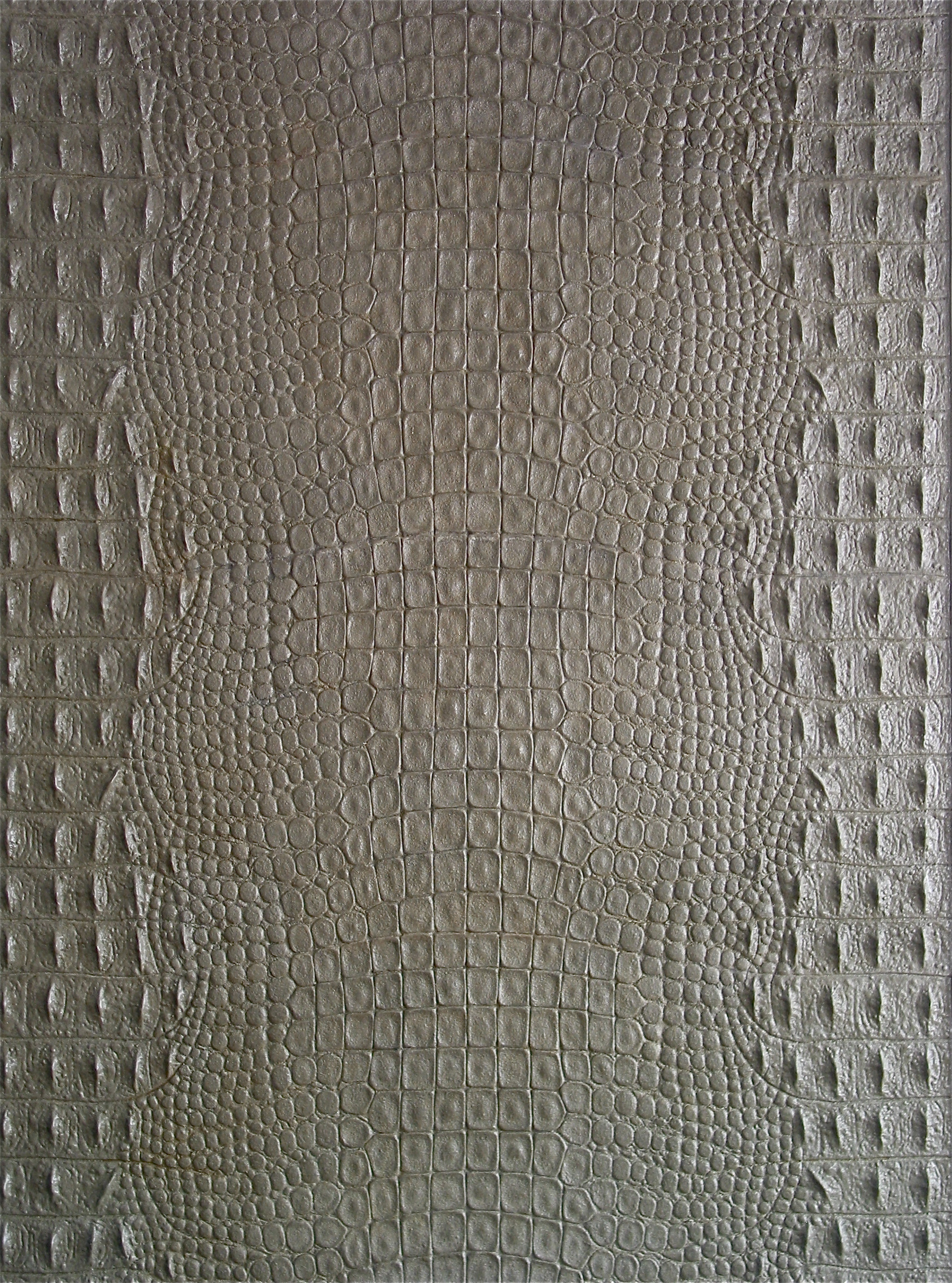 IMG 7031 2
