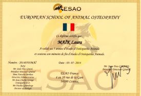 Diplome ESAO FR