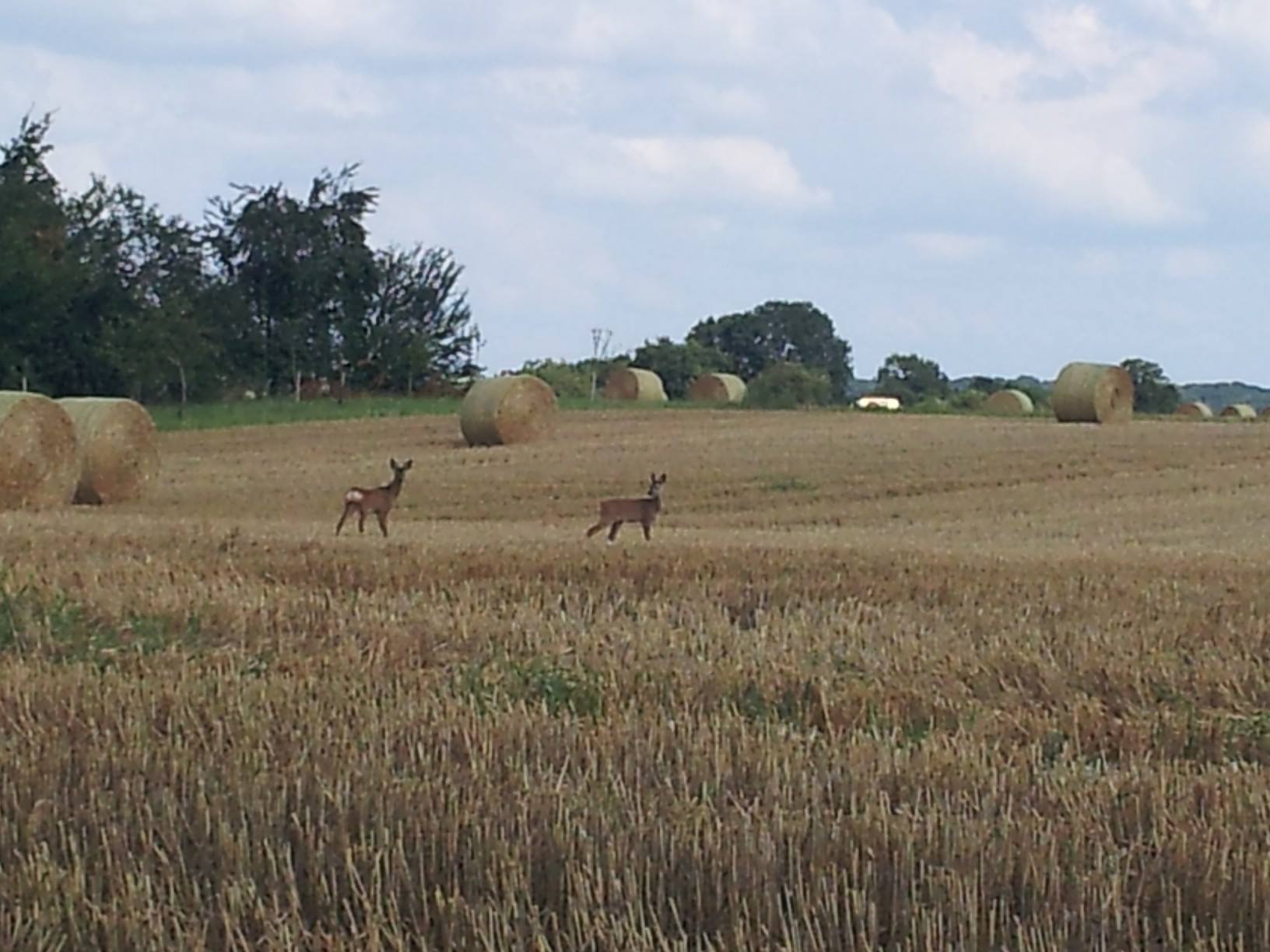 10448499 677468728994823 4781794371634539679 o