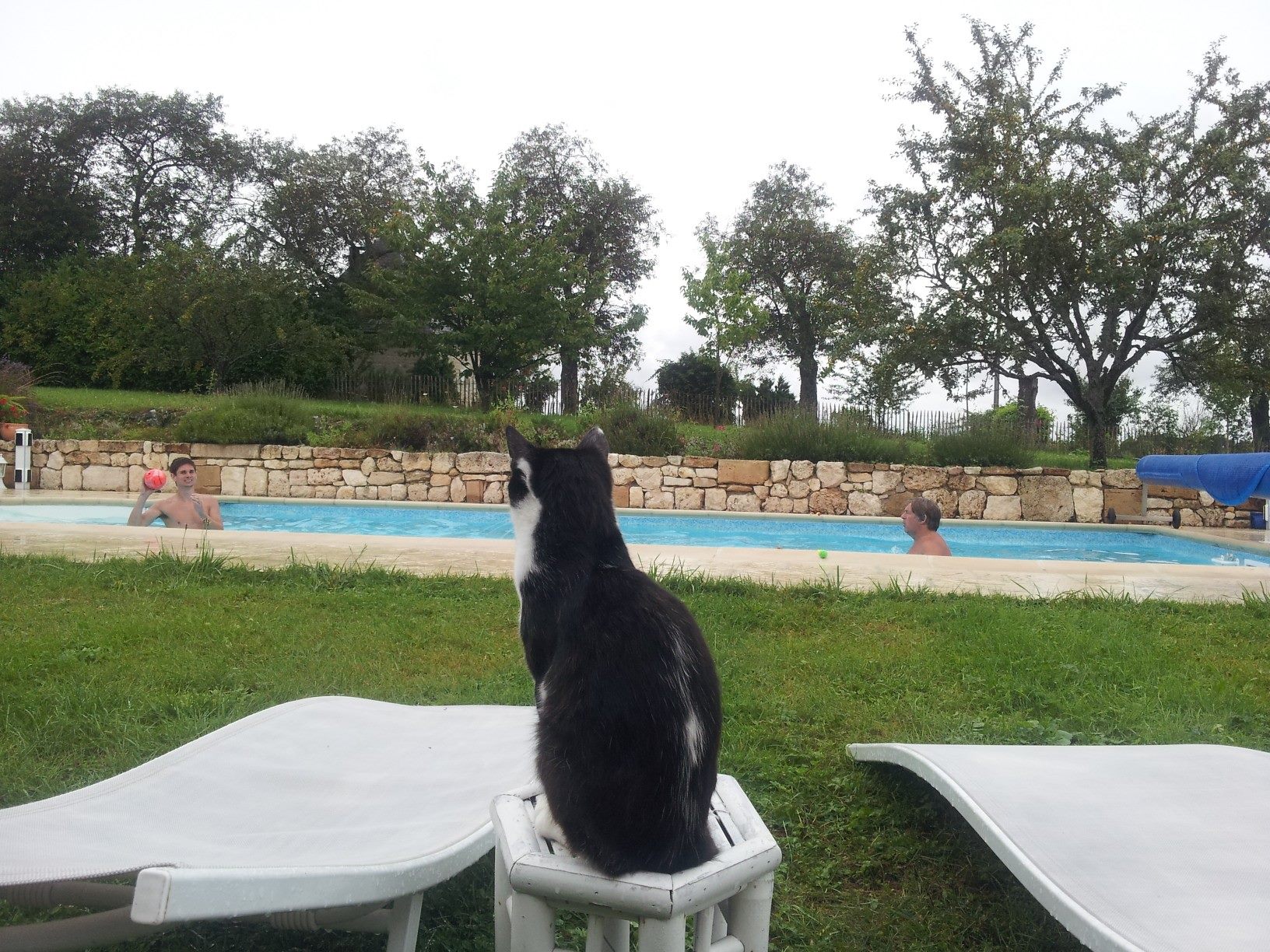 10580716 678126222262407 8012064364568393776 o