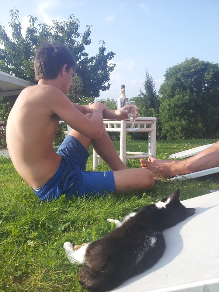 10517588 679253942149635 1826106076587984878 n